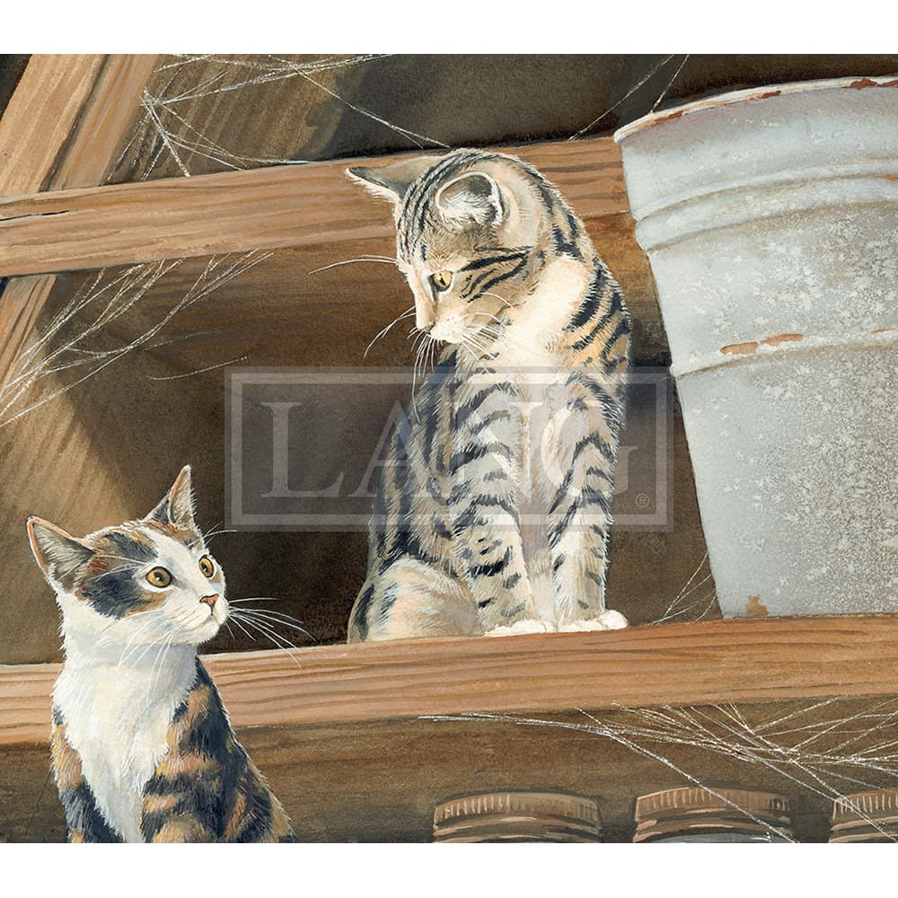 2023 cats in the country wallpaper november width=&quot;1000&quot; height=&quot;1000&quot;